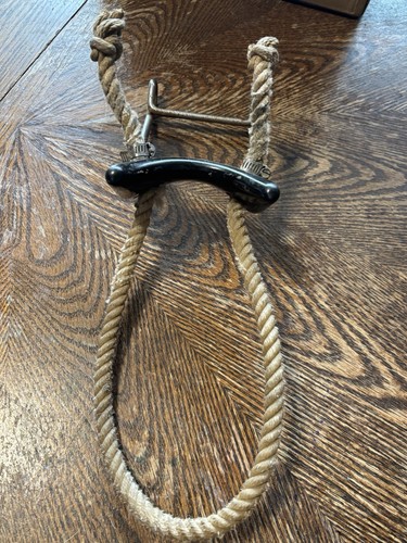 Unique equine horse pony used - unique,